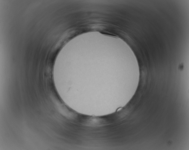X0000115180379200911251402