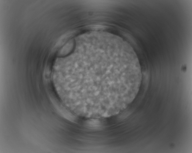 X0000115180381200911251402