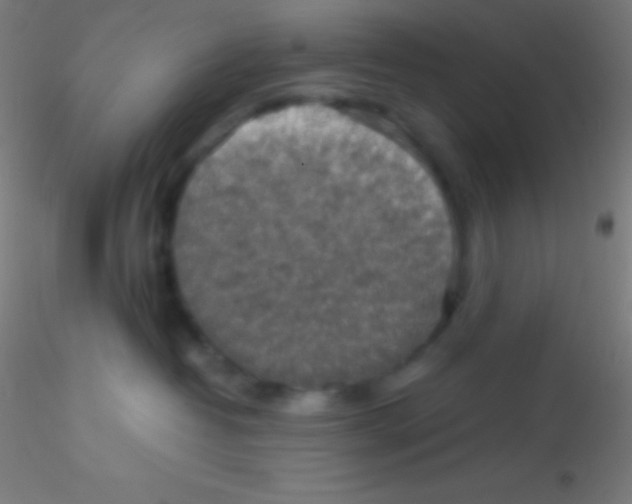 X0000115180382200911251402