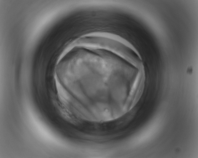 X0000115180383200911251402
