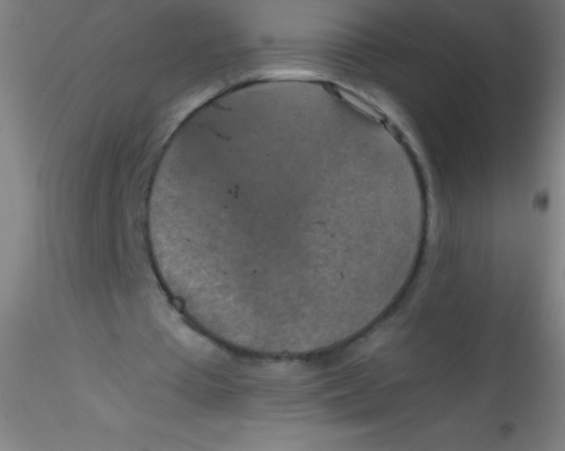 X0000115180385200911251402