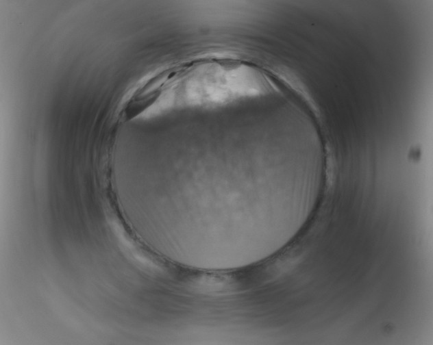 X0000115180386200911251402