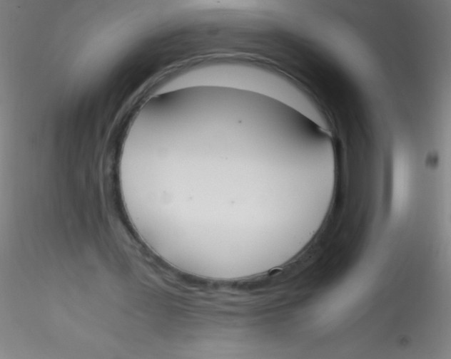 X0000115180387200911251402