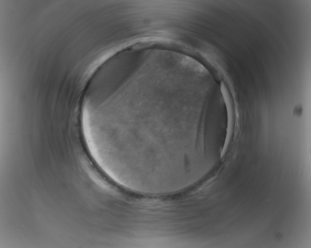 X0000115180389200911251402