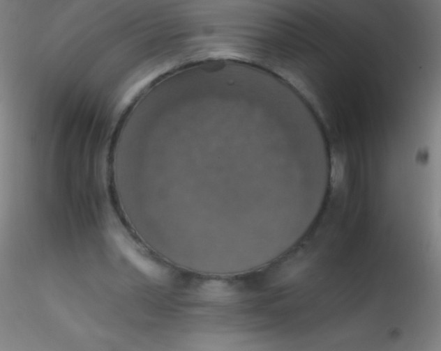 X0000115180390200911251402
