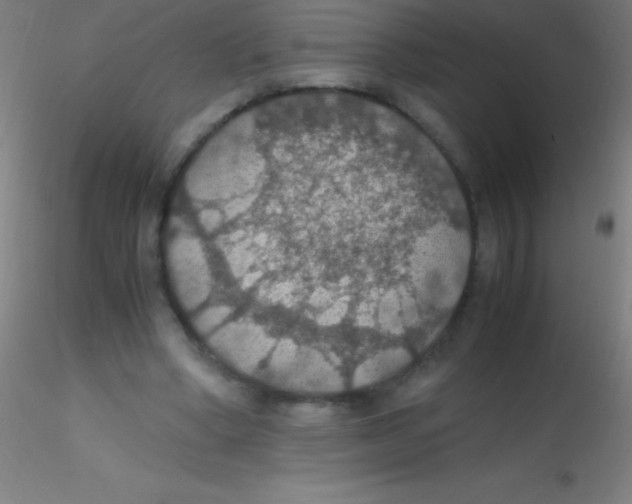 X0000115180394200911251401