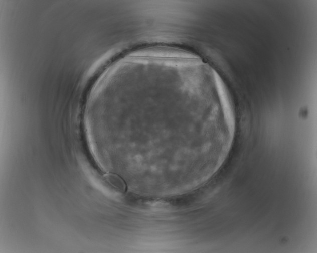 X0000115180395200911251401