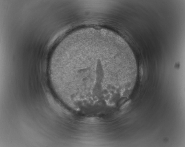 X0000115180396200911251401