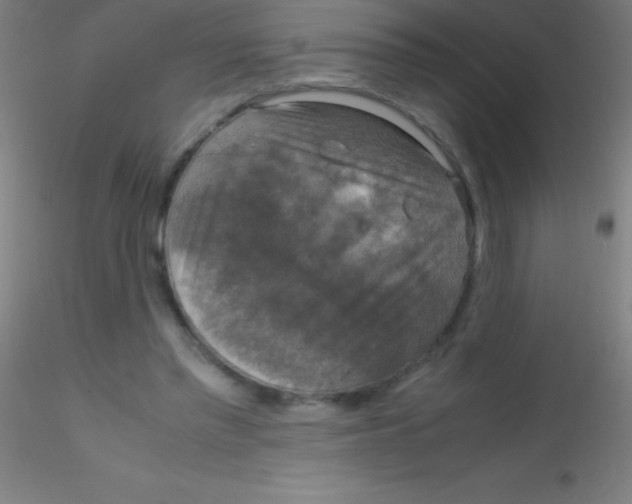 X0000115180397200911251401