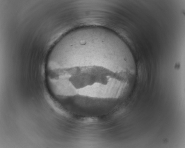 X0000115180398200911251401