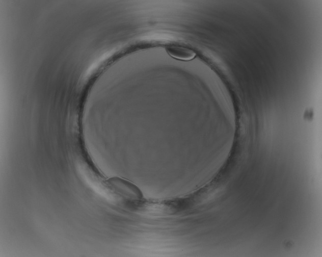 X0000115180399200911251401