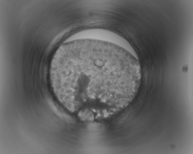 X0000115180400200911251401