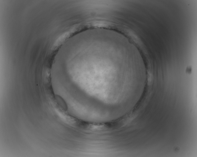 X0000115180401200911251401