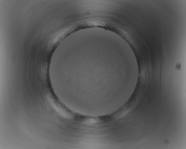 X0000115180402200911251401