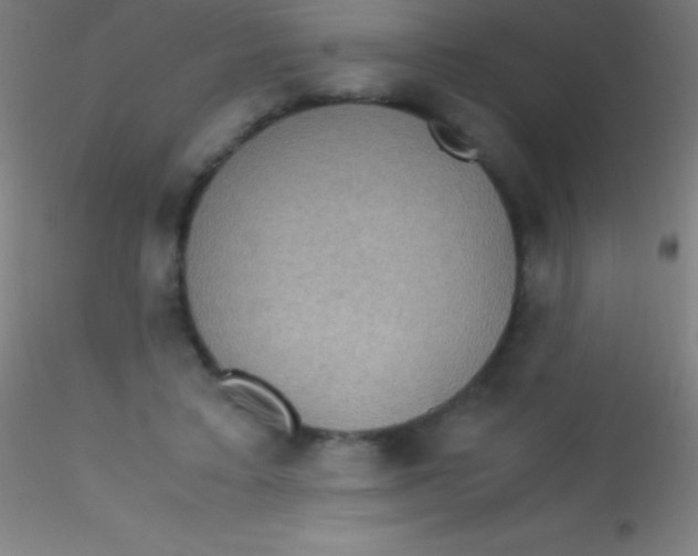 X0000115180403200911251401
