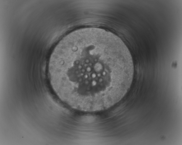 X0000115180404200911251401