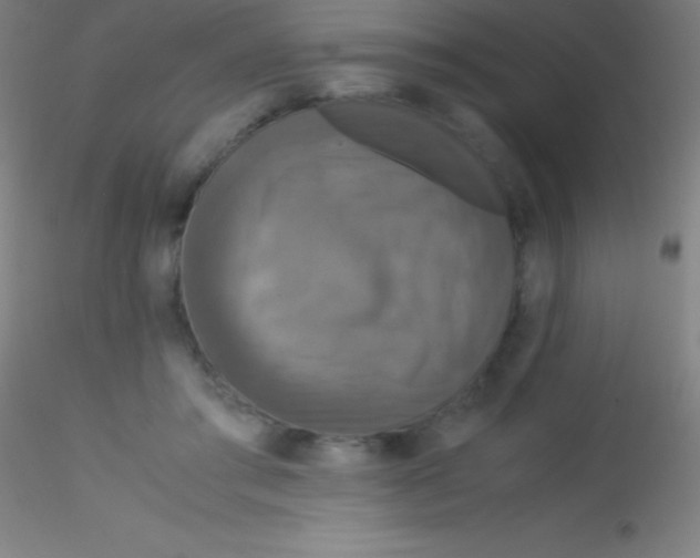 X0000115180405200911251401