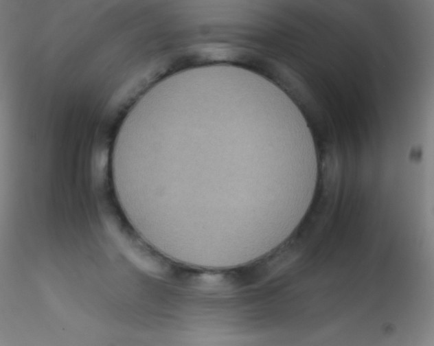 X0000115180406200911251401