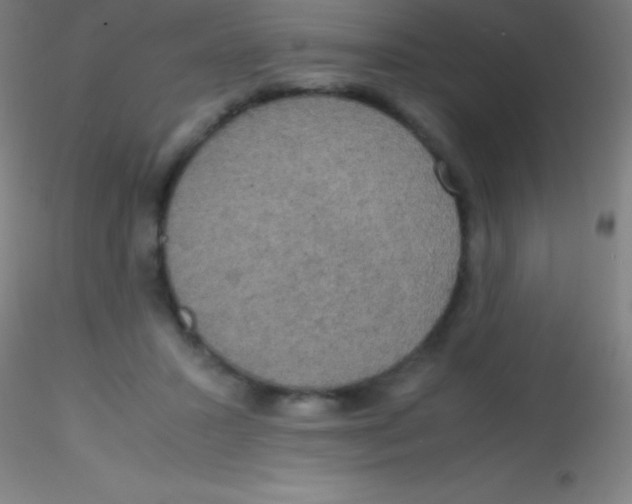 X0000115180407200911251401