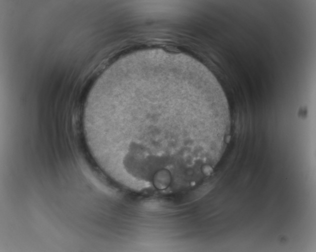 X0000115180408200911251401