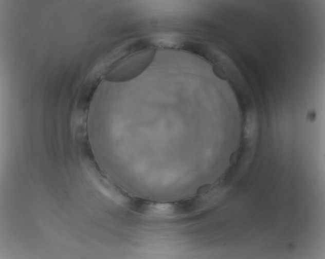 X0000115180409200911251401