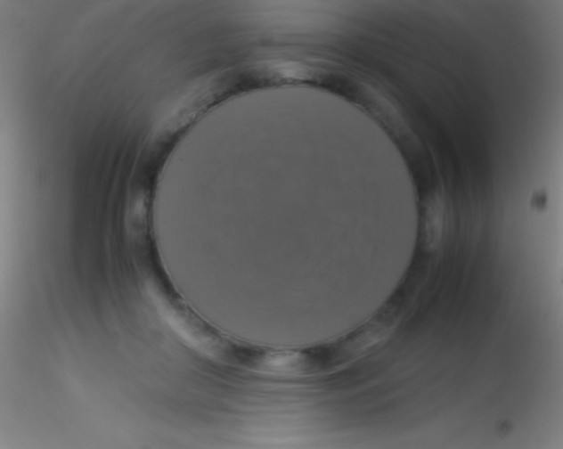 X0000115180410200911251401