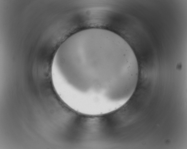 X0000115180411200911251401