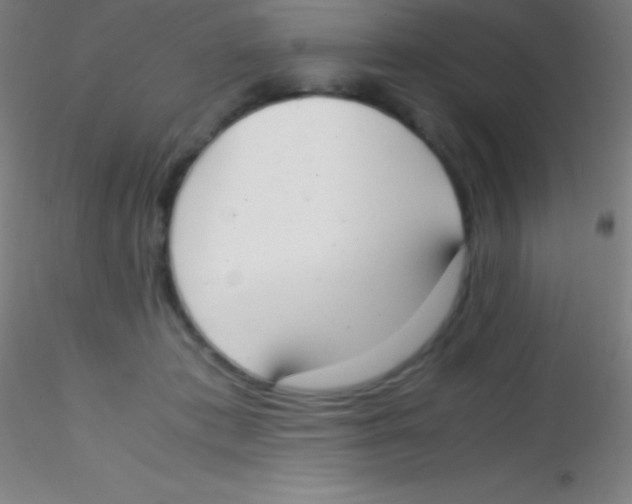 X0000115180413200911251401