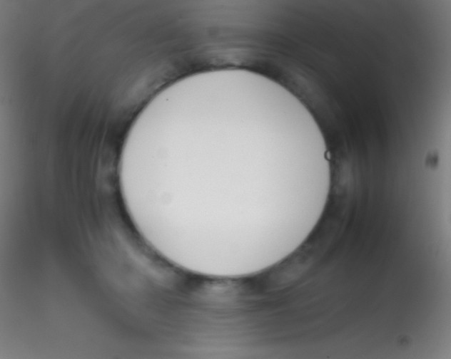 X0000115180414200911251401