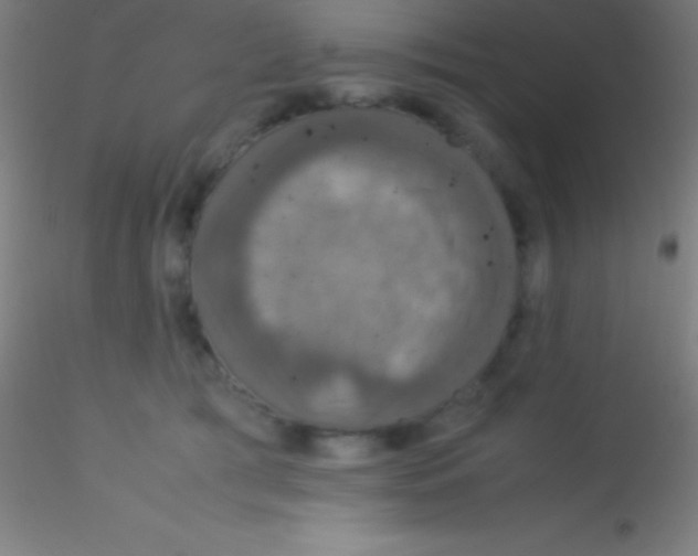 X0000115180417200911251401