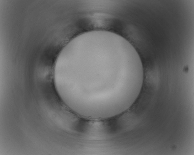 X0000115180419200911251401