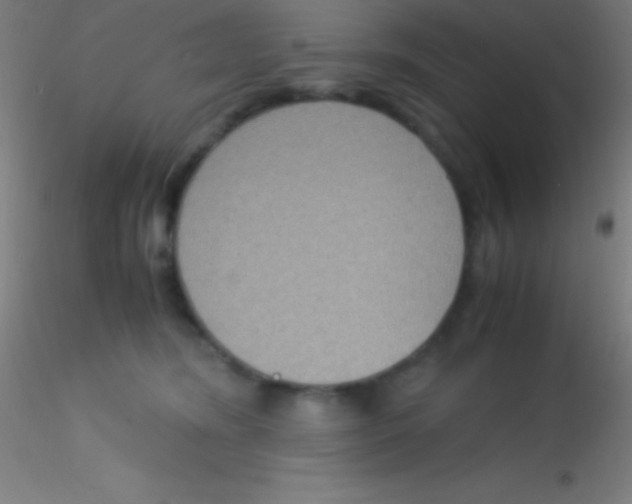 X0000115180420200911251401