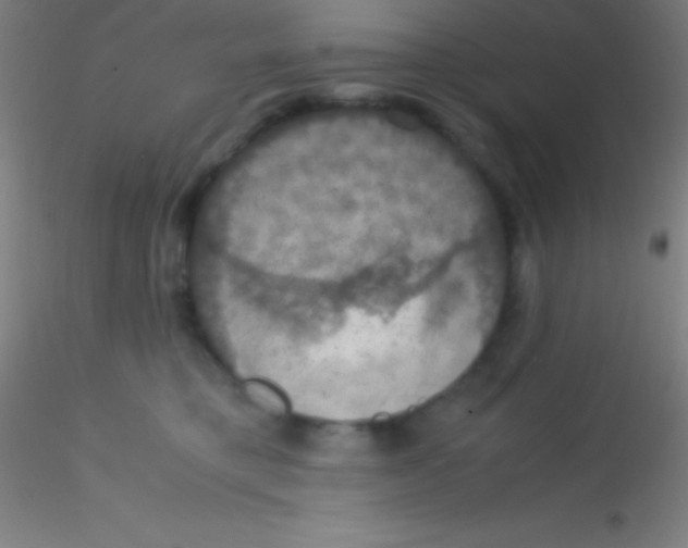 X0000115180421200911251401