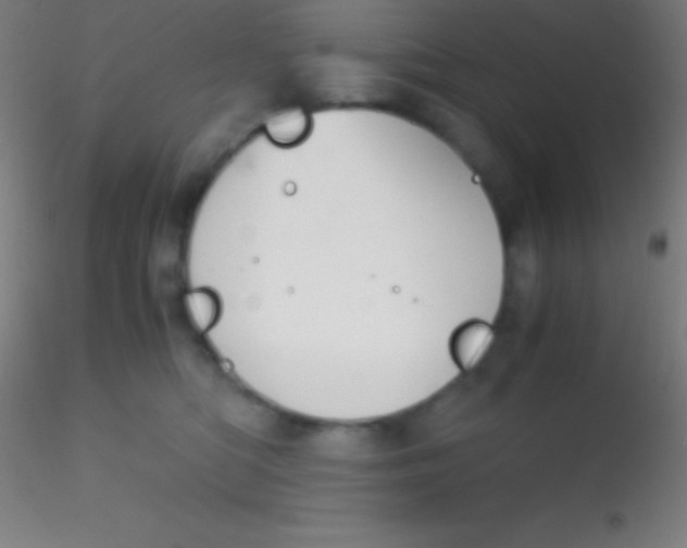 X0000115180422200911251401
