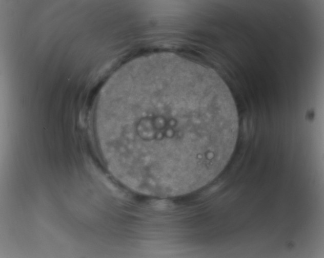 X0000115180424200911251401