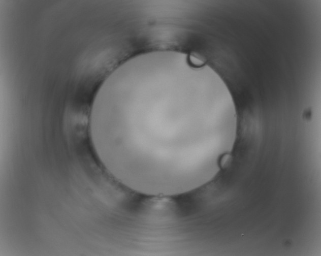 X0000115180427200911251401