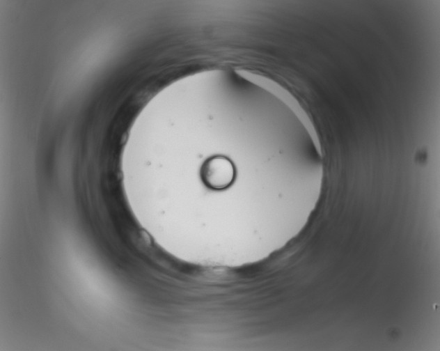 X0000115180429200911251401