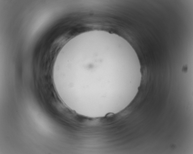 X0000115180430200911251401