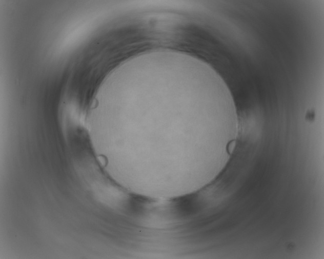 X0000115180431200911251401