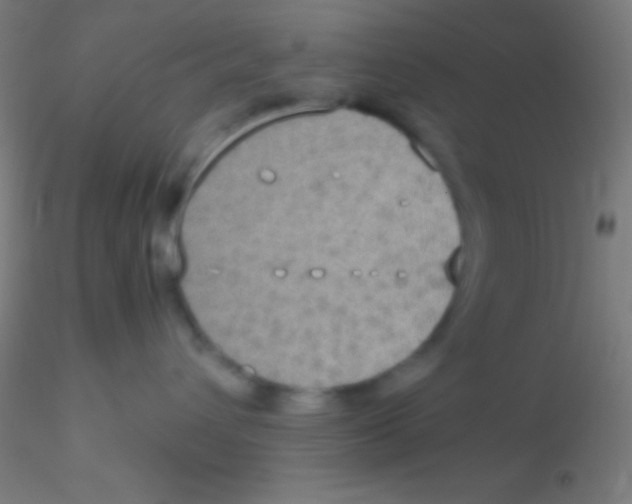 X0000115180432200911251401