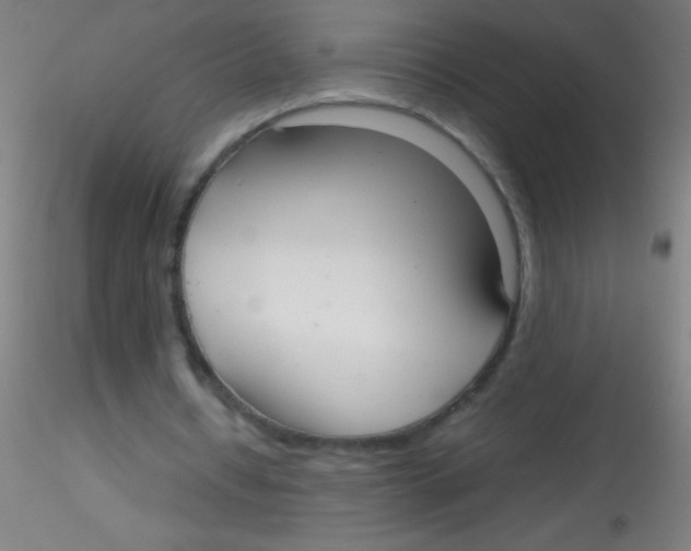 X0000115180434200911251400
