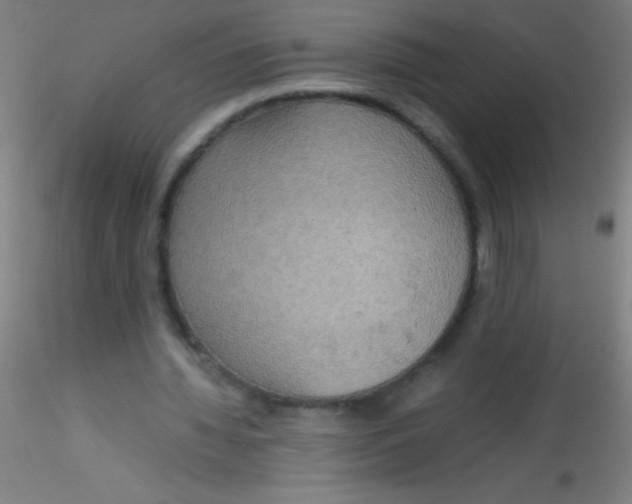X0000115180436200911251400