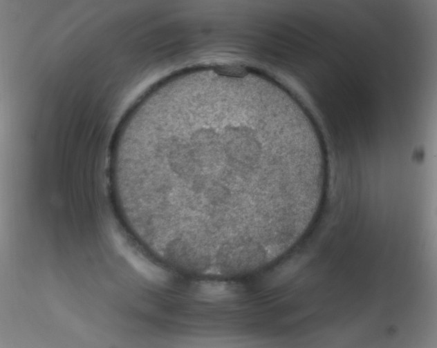 X0000115180439200911251400