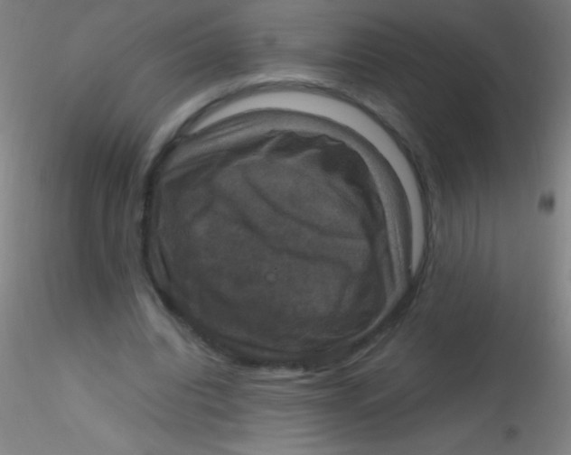X0000115180440200911251400