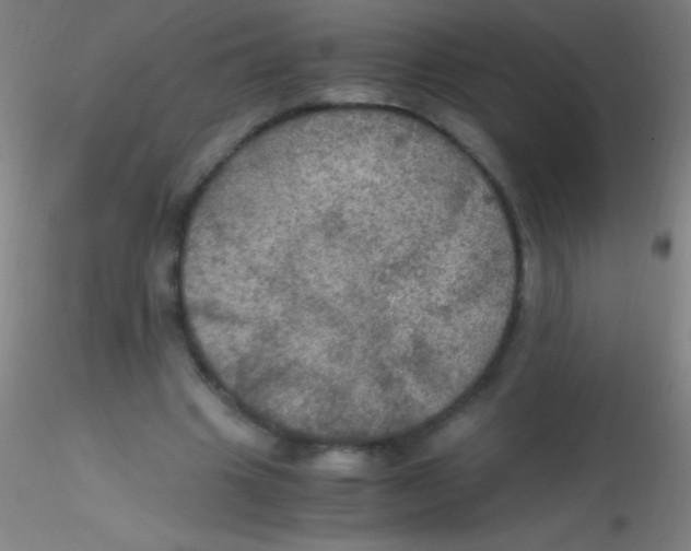 X0000115180441200911251400