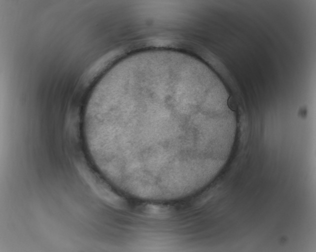 X0000115180442200911251400