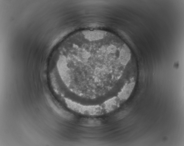 X0000115180443200911251400