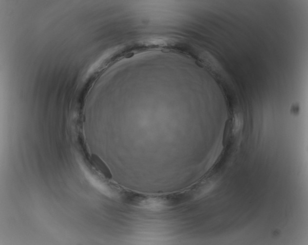 X0000115180444200911251400