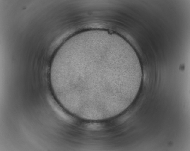 X0000115180445200911251400