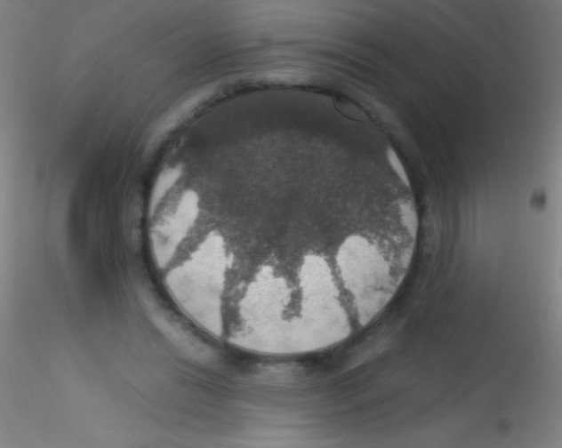 X0000115180446200911251400